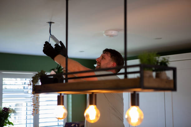Best Emergency Electrician Near Me  in Lake Catherine, IL