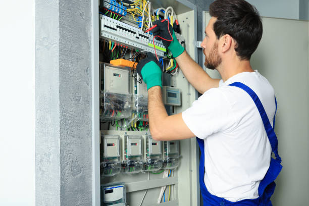 Best Electrical Wiring Services  in Lake Catherine, IL