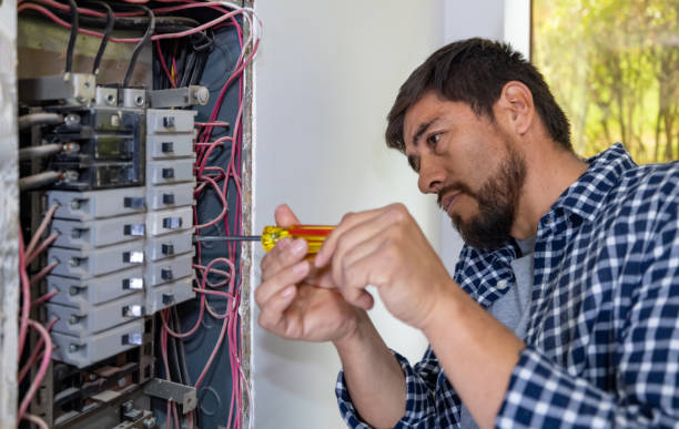 Best Commercial Electrician Services  in Lake Catherine, IL